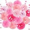 KAXIXI Pink Party Decorations, Tissue Paper Pom Poms Circle Garland