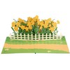 Liebessa 3D Pop Up Card Flowers (Daffodils) Beautiful Birthday Card,