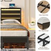 Rolanstar Bed Frame Twin Size with USB Charging Station, LED