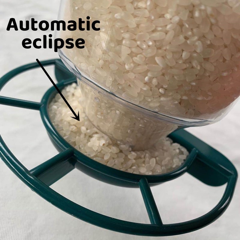 AIMALL Transparent Plastic Automatic Bird Feeder – Creative Hanging Feeder
