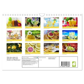 Gibt das Leben dir Zitronen, frag nach Zucker und Gewürzen! (Wandkalender 2025 DIN A4 quer), CALVENDO Monatskalender [Calendar] Rose Hurley