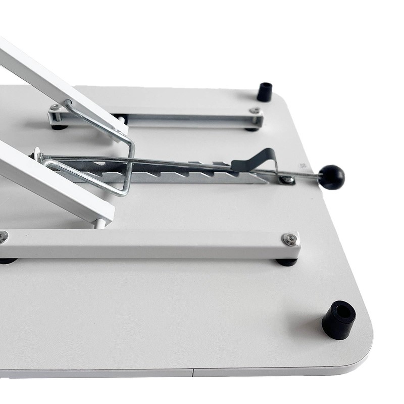 Ayedvan 24 inch Worker Standing Desk Converter,Adjustable Sit Stand Up