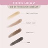 1000 HOUR Dab-On Hair Colour Concealer, Dark Brown