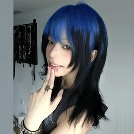 TTYAO REII Wig, Wolf Cut, Medium, Gradient Color, Full Wig, Wig, Straight, Bangs, Natural, Harajuku, Fashion, Women's, Small Face, Popular, Heat Resistant, Net (Blue, Black)
