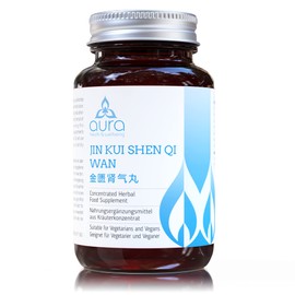 Jin Kui Shen Qi Wan 金匮肾气丸 (Rehmannia & Dogwood Fruit)