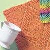 Leisure Arts Kitchen Bright Dishcloths
