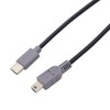 VViViD Sun Type-C to Mini Conversion Cable, Rapid Charge +