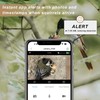 Birdhouse Camera with Solar Powered, HD Vision Camera Watch Bird