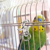 balacoo 10 Pcs Bird Cage Locks Buckles Metal Pet Cage