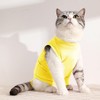 Cat Surgery Recovery Suit for Abdominal Wounds or Skin Diseases,