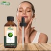 ORGANIC ZING Organic Zing Ravintsara (Cinnamomum camphora) Oil |Pure &