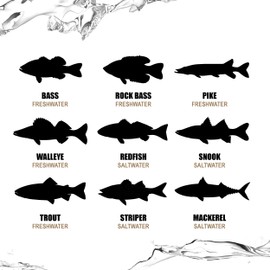 Lunkerhunt Bento Fishing Lure, Tennessee Shad, 5.5'