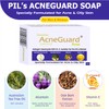 Pil Acneguard Soap | Clears Acne, Pimples, Clogged Pores |