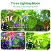Seed Starter Trays with Grow Lights and Heat Mat, 72