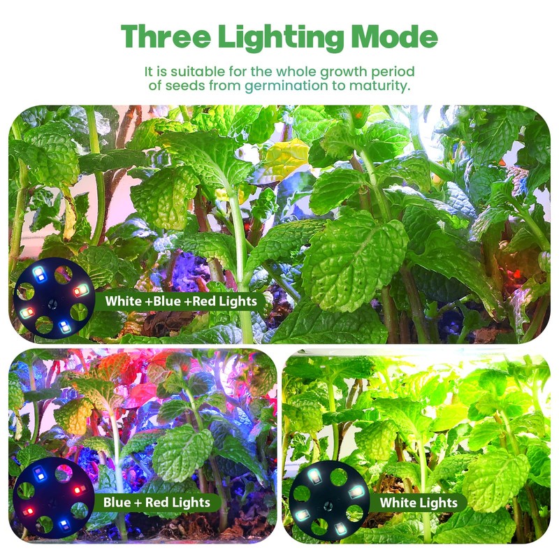 Seed Starter Trays with Grow Lights and Heat Mat, 72