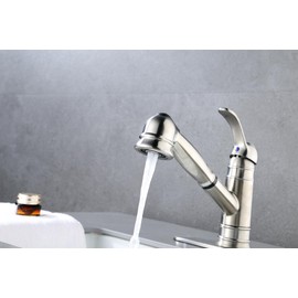 Derengge 1 or 3 Hole Pull-Out Kitchen Faucet Stainless Steel Single Handle Kitchen Sink Faucet with Deck Plate,EW-083C-BN