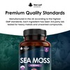 Sea Moss Tablets Extract High Strength 4000mg - Sea Moss