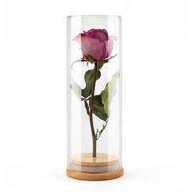 wisedry Decorative Glass Jar Display Case with Bamboo Base for Dried Flowers 2.6‘’ × 7.1‘’