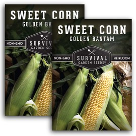 Golden Bantam Sweet Corn Seed for Planting - 2 Packs with Instructions for Growing - Grow Yellow Corn Outdoors in The Vegetable Garden - Untreated Non-GMO Heirloom Sweetcorn - Survival Garden Seeds