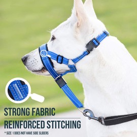 Zerodis Dog Head Halter with Safety Strap, Stops Heavy Pulling On The Leash Padded Headcollar for Dog Sizes Adjustable Head Collar (Blue)