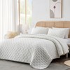 HIARUO 3-Piece King Quilt Set - Soft Warm Ultrasonic Reversible