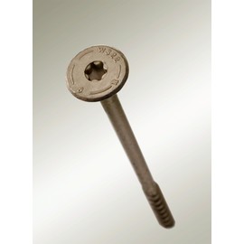 Simpson Strong-Tie SDWS221000DB-R50 Strong-Drive SDWS Timber Screws (Exterior Grade), 0.220 Inch x 10 Inch, Double-Barrier Coated, Washer Head, Sawtooth Point, Tan (Pack of 50)