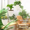 Sungmor 3 Pack Self Watering Hanging Planters, Unique Eggshell Shape
