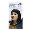 Avantgardo squid ink hair coating color cream black / 아방가드로 오징어 먹물 헤어 코팅 칼라크림 흑색