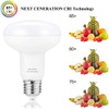 Small frog BR25/R25 Led Can Light Bulbs, 9W Dimmable Flood