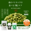 桜江町桑茶生産組合 有機桑葉つぶ 72g(200mg×360粒)