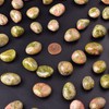 SigMntun Polished Unakite Stones Healing Crystal Bulk, 24 Pcs, 1.5