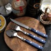 Bistro Cutlery Set, Filet Collection, French Made in NERON MARINE