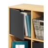 Whitmor 9 Section Cube Organizer with Doors