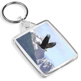 Bald Eagle Keyring - IP02 - Bird America American USA #14245