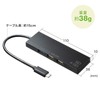 Sanwa Supply USB Hub Type-C Connection (USB 3.1/3.0 x 1