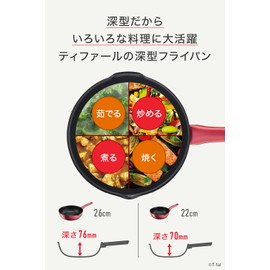 ティファール(T-fal) Induction Rouge Unlimited Fried Pot, 22cm, red