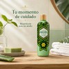 Shampoo Huichol Artesanal De Sabila Anticaida Original 400 ml