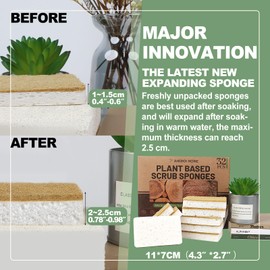 Aheroi Natural Dish Sponge, 32 Count FSC Certified Plant-Based Biodegradable Compostable Kitchen Sponges for Dishes Bulk, Organic Eco Friendly Cleaning Sponge for Bathroom, Household, Non Scratch