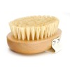 menesia Menesia Soft Dog Brush, Pets Palm Brush for Dog and Cat Grooming - Bristle Brush for Dogs Short Haired - Soft Bristle Dog Brush Handheld - Ideal for Small Dogs Daily Gentle Grooming Brush (Beechwood)