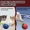 GSHLGAO GSHLGAO Speedy Tail 2.0,Speedy Tail Cat Toy,2025 New Generation