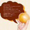 Orihiro Onion Extract, Value Type, Approx. 60 Day Supply, 600