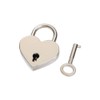 Leadigol Diary Lock and Key Set,Small Metal Heart Shaped Padlock