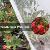 Fruit Tree Netting Covers with Zipper to Protect from Squirrels