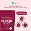 Wellthy Berberina 60 Cápsulas Berberis Aristata 500mg C/u Sin Sabor