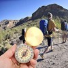 FISHTEC Magnetic Navigation Compass Gold - Gift Box, Phosphorescent, Pocket