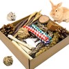 Jwizyotr Guinea Pig Toys Rabbit Toys Box for Chewing&Teeth Grinding