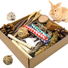 Jwizyotr Guinea Pig Toys Rabbit Toys Box for Chewing&Teeth Grinding Natural Bunny Treats for Chinchilla, Rat, Hamster and Other Small Pets 12 PCS (Medium)