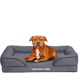 The Dog’s Bed, Orthopedic Standard Foam Waterproof Dog Bed with Standard Support, Large Grey with Black Trim, Waterproof, Supportive Dog Bed with Replaceable Covers, Veterinary Approved