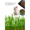 YFFSFDC Hydroponics Cat Grass Box Set of 2 Cat Grass