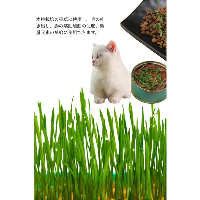 YFFSFDC Hydroponics Cat Grass Box Set of 2 Cat Grass